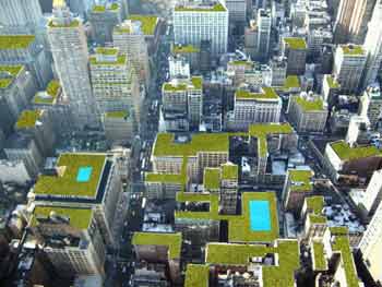 green_roofs_2
